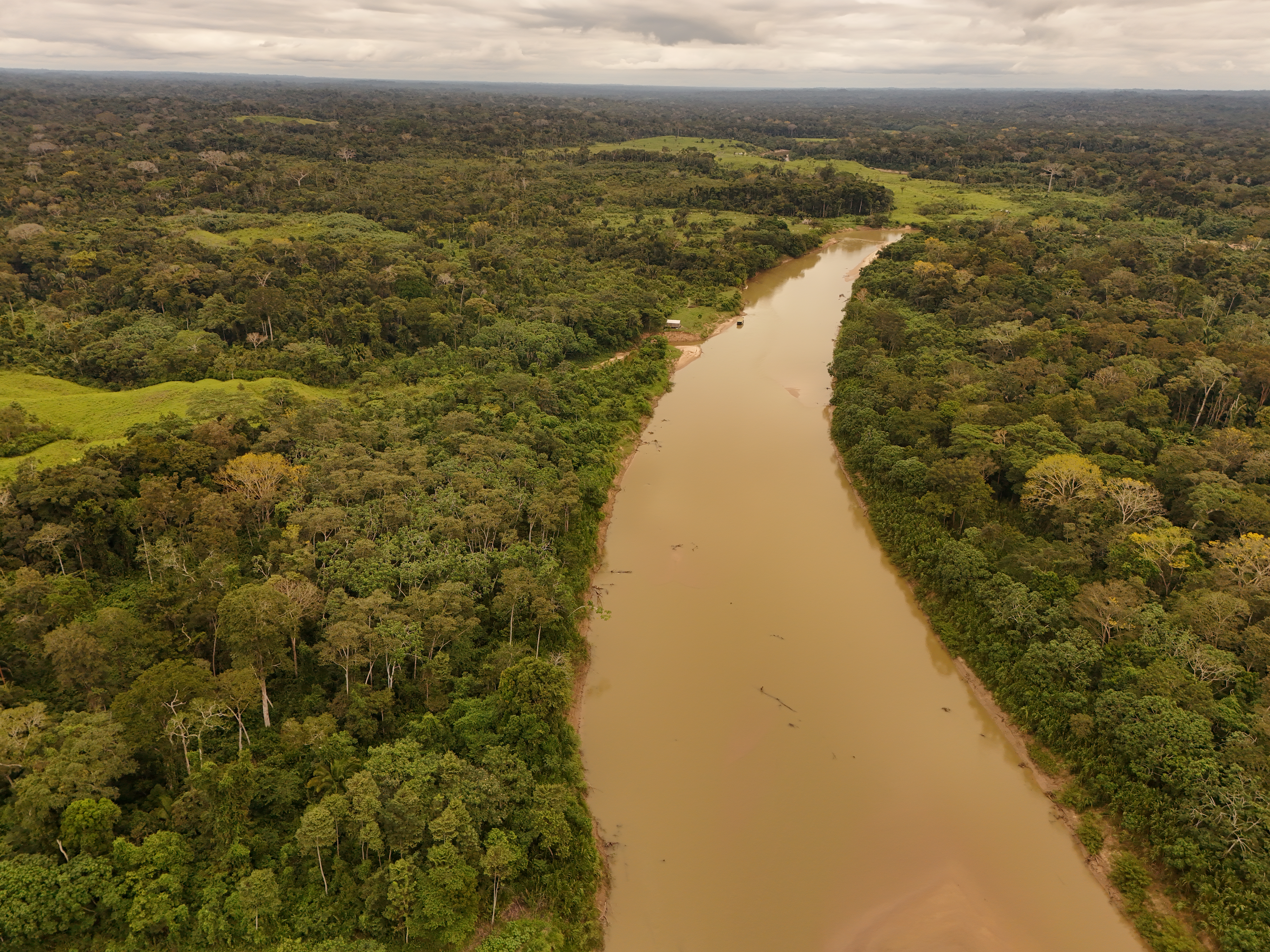 Projeto Amazon Rio IFM