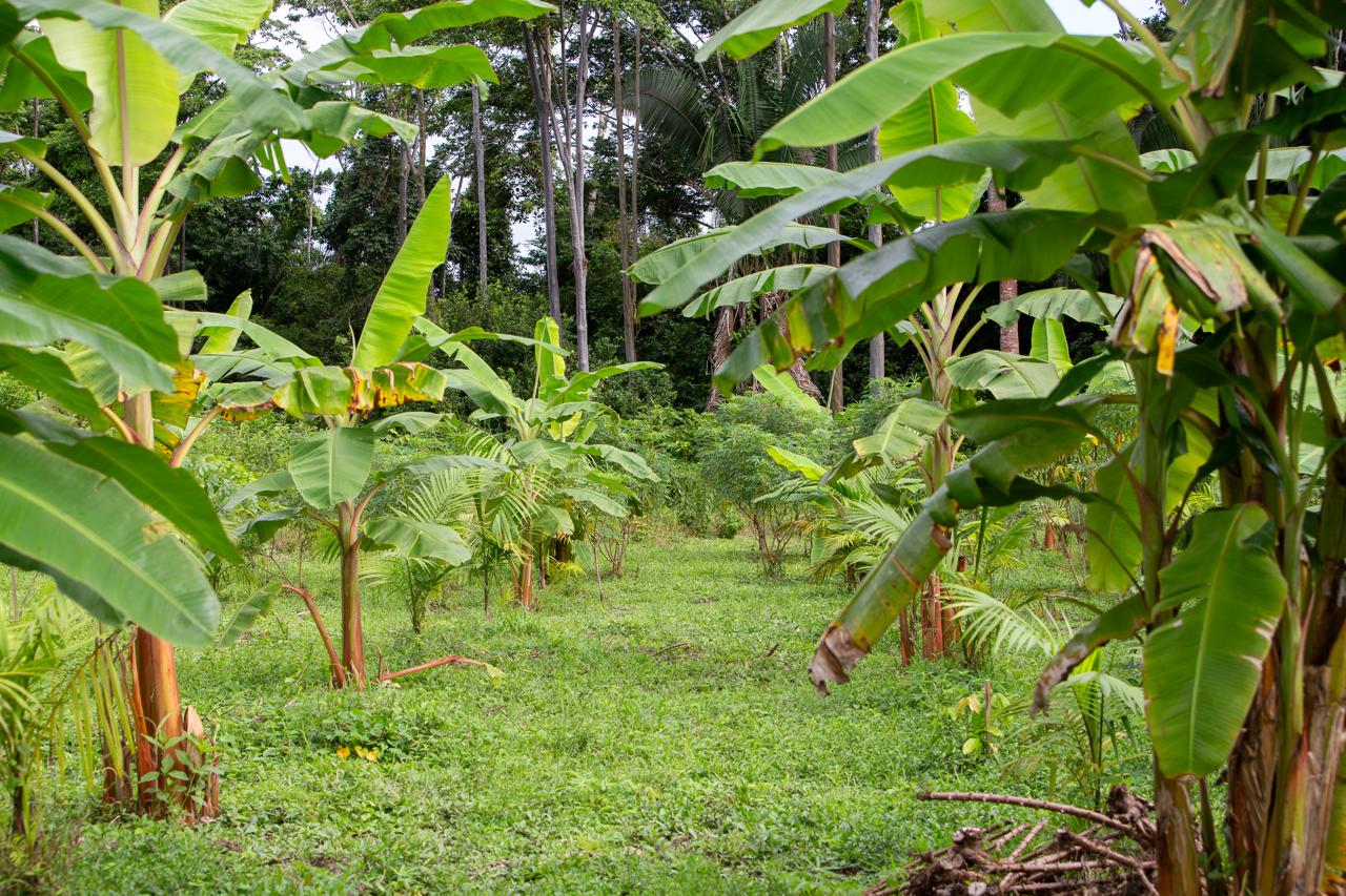 Mapa ou área do projeto