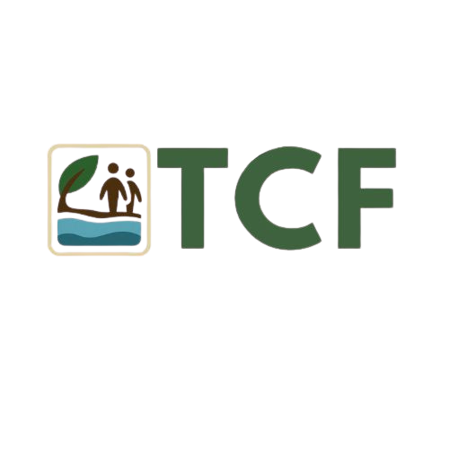 TCF Projetos